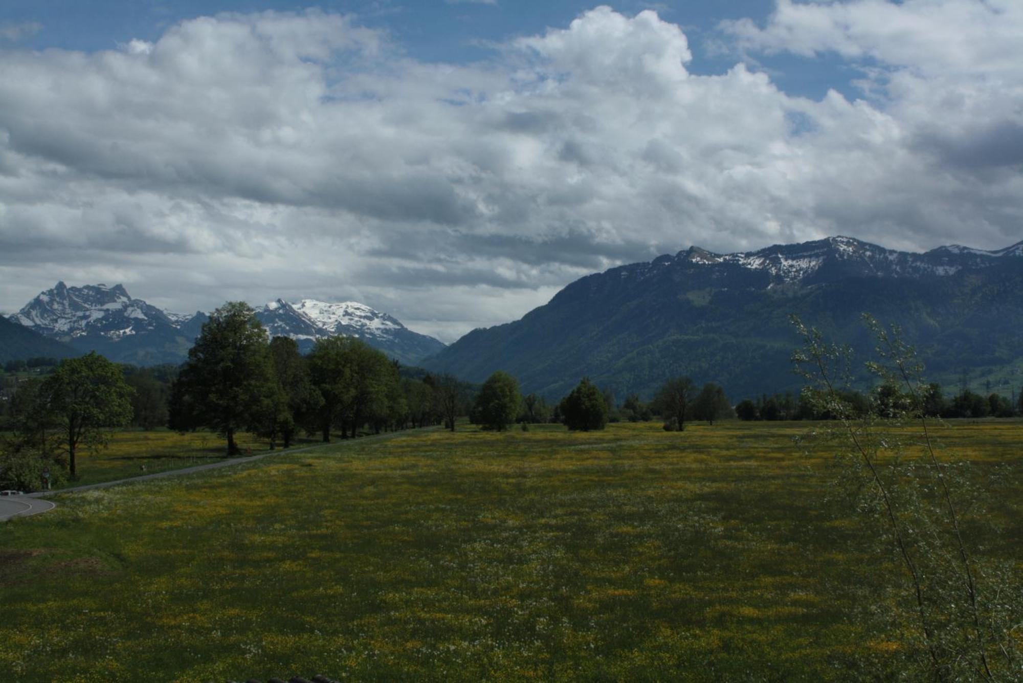 BnB Entensee Uznach Exterior foto